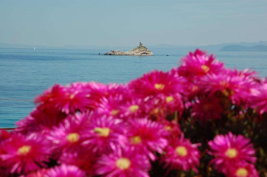 Hotel Villa Ombrosa 포르토페라이오 객실 사진