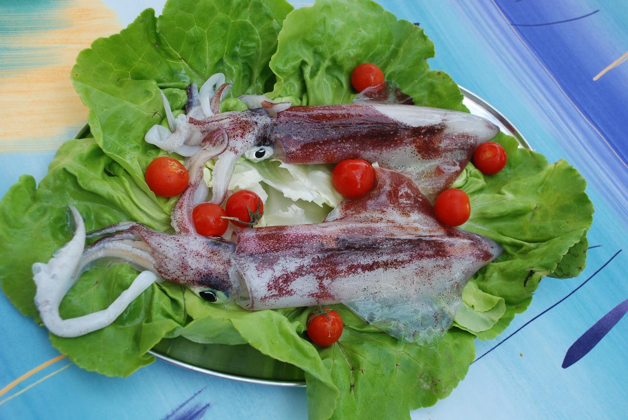 Hotel Villa Ombrosa 포르토페라이오 외부 사진